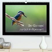 Der Eisvogel zurück im Spessart (Premium, hochwertiger DIN A2 Wandkalender 2023, Kunstdruck in Hochglanz)