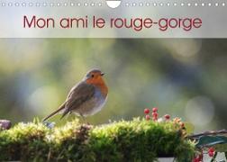 Mon ami le rouge-gorge (Calendrier mural 2023 DIN A4 horizontal)