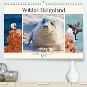 Wildes Helgoland - Basstölpel, Kegelrobbe und Co. 2023 (Premium, hochwertiger DIN A2 Wandkalender 2023, Kunstdruck in Hochglanz)
