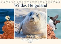 Wildes Helgoland - Basstölpel, Kegelrobbe und Co. 2023 (Tischkalender 2023 DIN A5 quer)