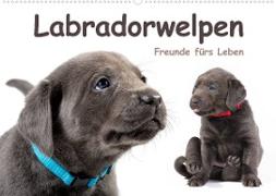 Labradorwelpen - Freunde fürs Leben (Wandkalender 2023 DIN A2 quer)