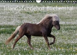 Islandpferdehof Buchenthal (Wandkalender 2023 DIN A4 quer)