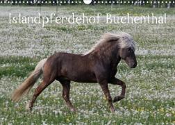 Islandpferdehof Buchenthal (Wandkalender 2023 DIN A3 quer)