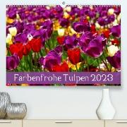 Farbenfrohe Tulpen 2023 (Premium, hochwertiger DIN A2 Wandkalender 2023, Kunstdruck in Hochglanz)