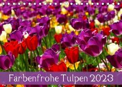 Farbenfrohe Tulpen 2023 (Tischkalender 2023 DIN A5 quer)