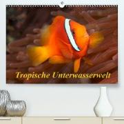 Tropische Unterwasserwelt (Premium, hochwertiger DIN A2 Wandkalender 2023, Kunstdruck in Hochglanz)