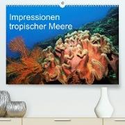 Impressionen tropischer Meere (Premium, hochwertiger DIN A2 Wandkalender 2023, Kunstdruck in Hochglanz)