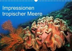 Impressionen tropischer Meere (Wandkalender 2023 DIN A3 quer)