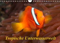 Tropische Unterwasserwelt (Wandkalender 2023 DIN A4 quer)