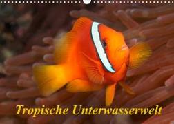 Tropische Unterwasserwelt (Wandkalender 2023 DIN A3 quer)