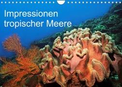 Impressionen tropischer Meere (Wandkalender 2023 DIN A4 quer)