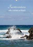 Fuerteventura, wilde Schönheit im Atlantik (Wandkalender 2023 DIN A2 hoch)