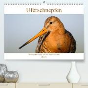 Uferschnepfen - Die eleganten Vögel mit dem langen Schnabel (Premium, hochwertiger DIN A2 Wandkalender 2023, Kunstdruck in Hochglanz)