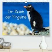 Im Reich der Pinguine (Premium, hochwertiger DIN A2 Wandkalender 2023, Kunstdruck in Hochglanz)