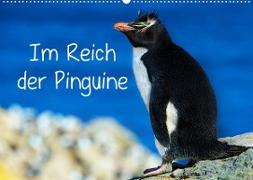 Im Reich der Pinguine (Wandkalender 2023 DIN A2 quer)