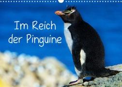 Im Reich der Pinguine (Wandkalender 2023 DIN A3 quer)