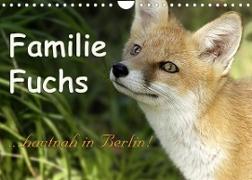 Familie Fuchs hautnah in Berlin (Wandkalender 2023 DIN A4 quer)