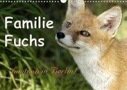Familie Fuchs hautnah in Berlin (Wandkalender 2023 DIN A3 quer)