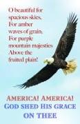 America Bulletin (Pkg 100) Patriotic