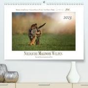 Niedliche Malinois Welpen (Premium, hochwertiger DIN A2 Wandkalender 2023, Kunstdruck in Hochglanz)
