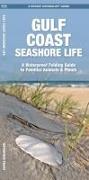 Gulf Coast Seashore Life: A Waterproof Folding Guide to Familiar Animals & Plants