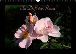 Im Duft der Rosen (Wandkalender 2023 DIN A3 quer)