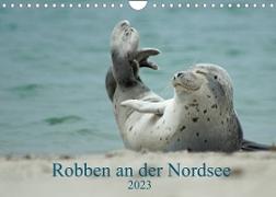 Robben an der Nordsee (Wandkalender 2023 DIN A4 quer)