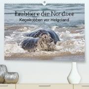 Raubtier der Nordsee - Kegelrobben vor Helgoland (Premium, hochwertiger DIN A2 Wandkalender 2023, Kunstdruck in Hochglanz)