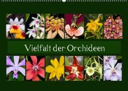 Vielfalt der Orchideen (Wandkalender 2023 DIN A2 quer)