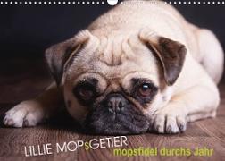 Lillie Mopsgetier - mopsfidel durchs Jahr (Wandkalender 2023 DIN A3 quer)