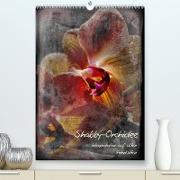 Shabby - Orchidee, Interpretation auf alten Fotoplatten (Premium, hochwertiger DIN A2 Wandkalender 2023, Kunstdruck in Hochglanz)