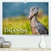 UGANDA - Afrikas Vielfalt in einem Land (Premium, hochwertiger DIN A2 Wandkalender 2023, Kunstdruck in Hochglanz)
