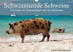 Schwimmende Schweine (Wandkalender 2023 DIN A3 quer)