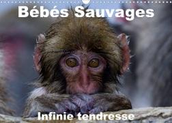 Bébés sauvages - Infinie tendresse (Calendrier mural 2023 DIN A3 horizontal)
