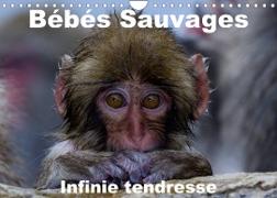 Bébés sauvages - Infinie tendresse (Calendrier mural 2023 DIN A4 horizontal)