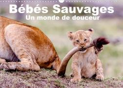 Bébés sauvages - Un monde de douceur (Calendrier mural 2023 DIN A3 horizontal)