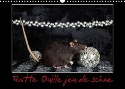 Ratte Ouille jeu de scène (Calendrier mural 2023 DIN A3 horizontal)