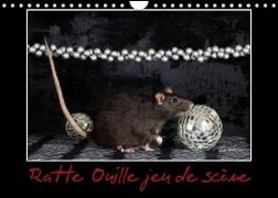 Ratte Ouille jeu de scène (Calendrier mural 2023 DIN A4 horizontal)