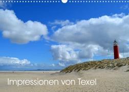 Impressionen von Texel (Wandkalender 2023 DIN A3 quer)