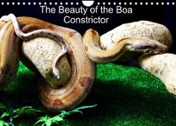 The Beauty of the Boa Constrictors (Wall Calendar 2023 DIN A4 Landscape)