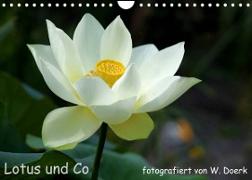 Lotus und Co (Wandkalender 2023 DIN A4 quer)