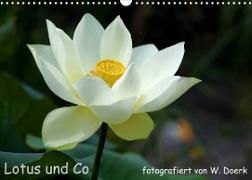 Lotus und Co (Wandkalender 2023 DIN A3 quer)