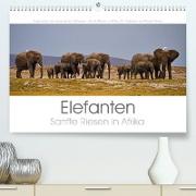 Elefanten - Sanfte Riesen in Afrika (Premium, hochwertiger DIN A2 Wandkalender 2023, Kunstdruck in Hochglanz)