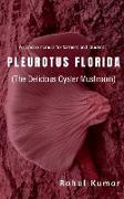 PLUROTUS FLORIDA