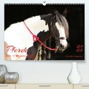 Pferde - eine Herzenssache (Premium, hochwertiger DIN A2 Wandkalender 2023, Kunstdruck in Hochglanz)