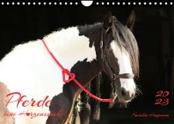 Pferde - eine Herzenssache (Wandkalender 2023 DIN A4 quer)