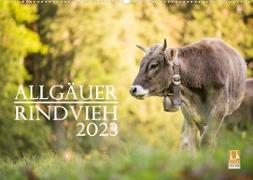 Allgäuer Rindvieh 2023 (Wandkalender 2023 DIN A2 quer)
