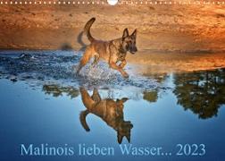 Malinois lieben Wasser (Wandkalender 2023 DIN A3 quer)