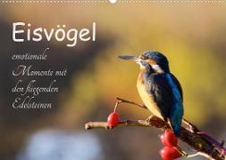 Eisvögel - emotionale Momente mit den fliegenden Edelsteinen (Wandkalender 2023 DIN A2 quer)