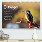 Eisvögel - emotionale Momente mit den fliegenden Edelsteinen (Premium, hochwertiger DIN A2 Wandkalender 2023, Kunstdruck in Hochglanz)